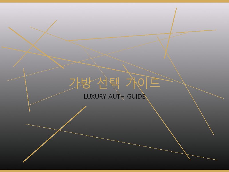 레이디백 S급 가방 선택 가이드