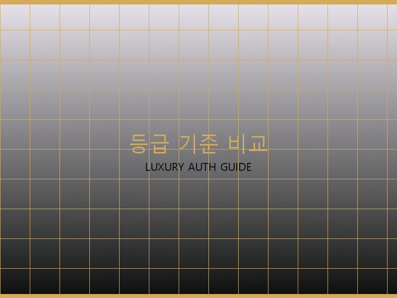 레이디백 S급 등급 기준 비교
